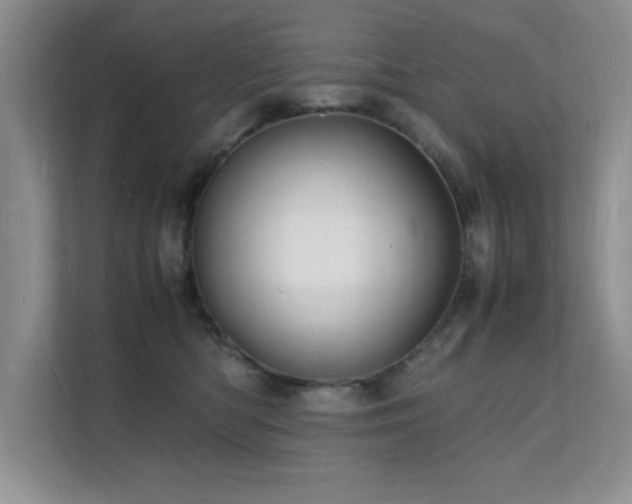 X0000112150422200908071120