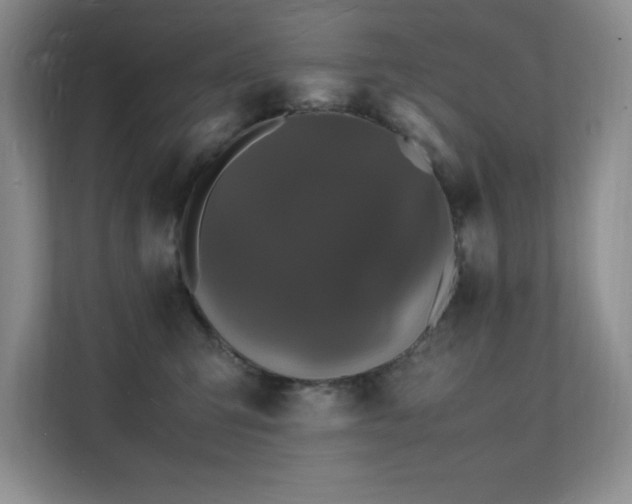 X0000112150423200908071120