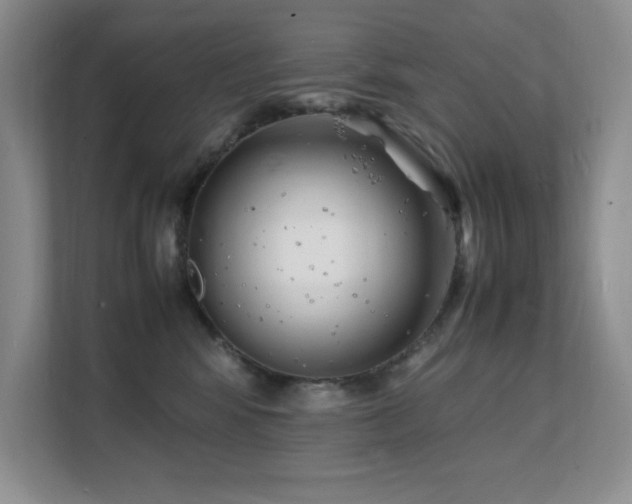 X0000112150424200908071120