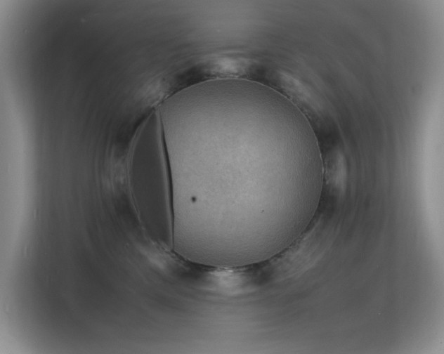 X0000112150425200908071120