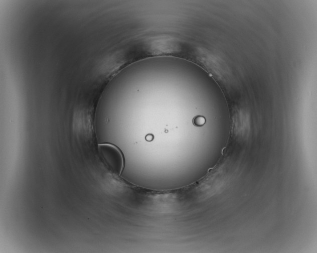 X0000112150426200908071120