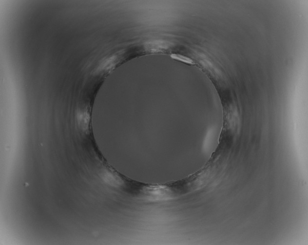 X0000112150427200908071120