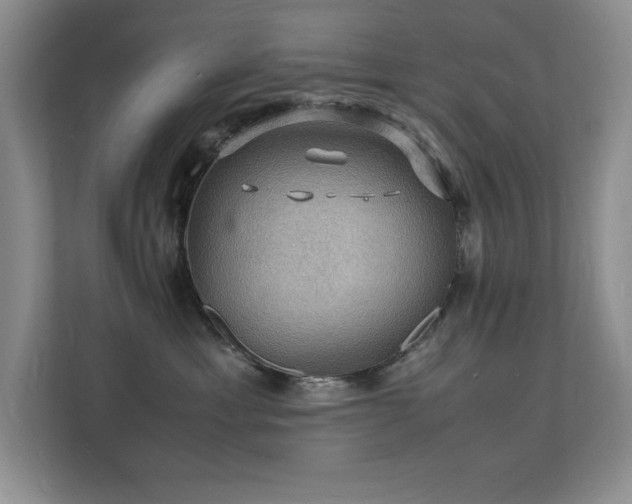 X0000112150429200908071120