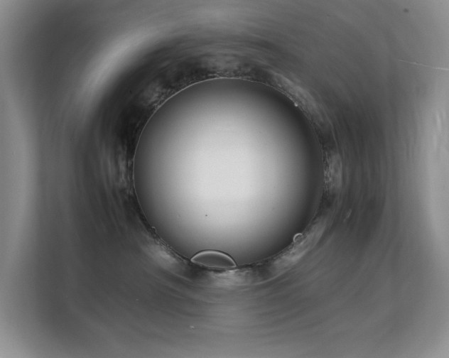 X0000112150430200908071120