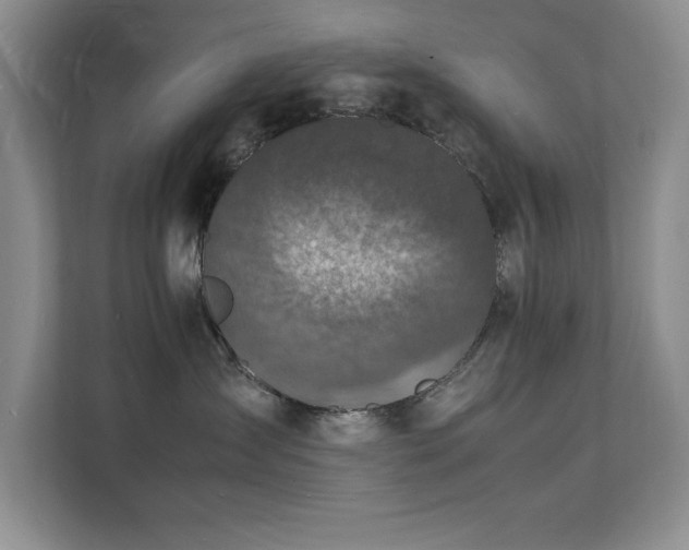 X0000112150431200908071120