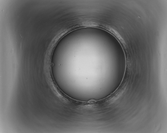X0000112150433200908071119