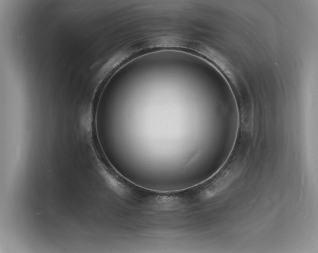 X0000112150437200908071119