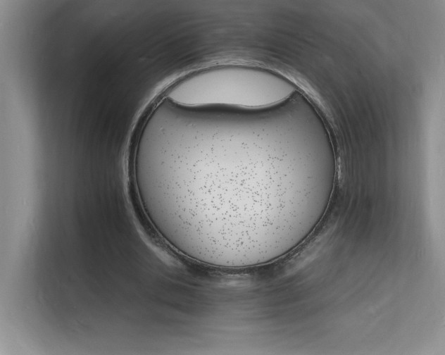 X0000112150438200908071119