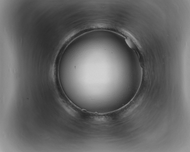 X0000112150439200908071119