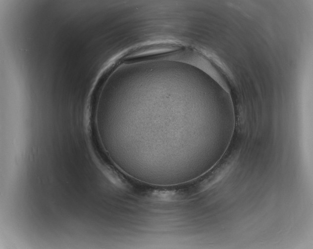 X0000112150440200908071119