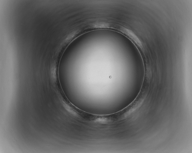 X0000112150441200908071119