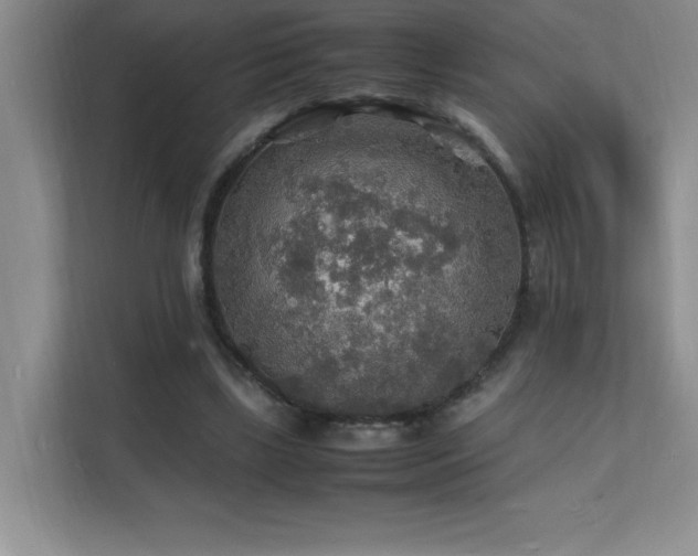 X0000112150443200908071119