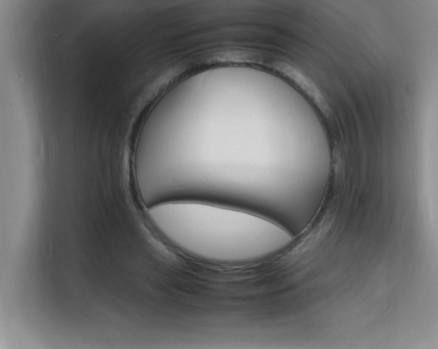 X0000112150445200908071119