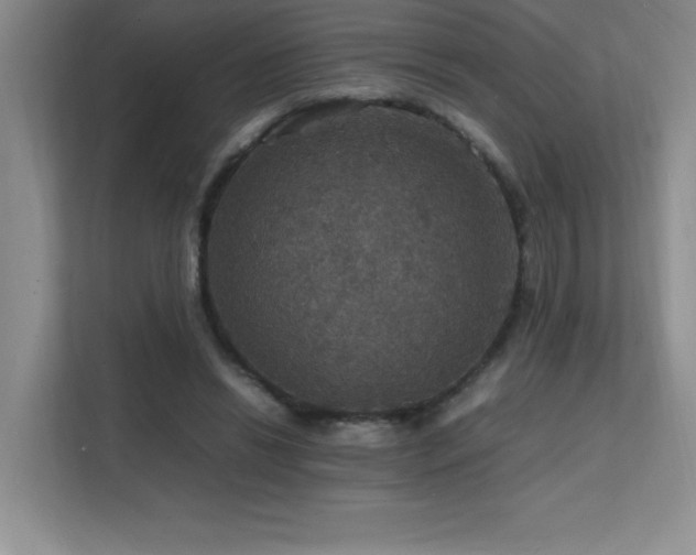 X0000112150446200908071119