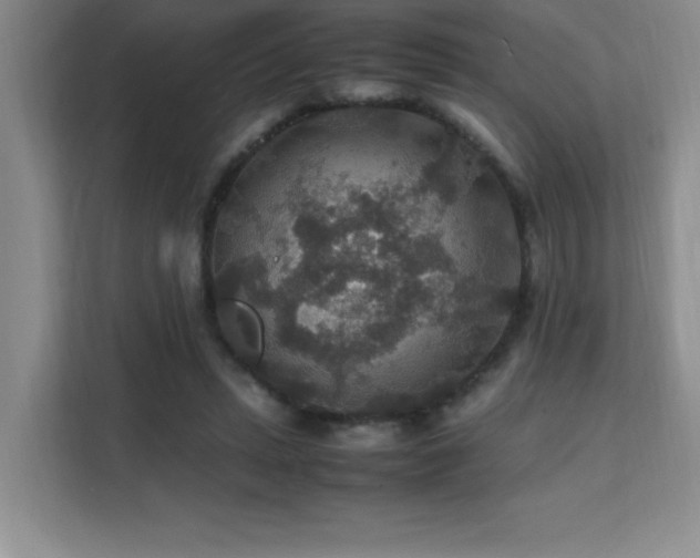 X0000112150447200908071119