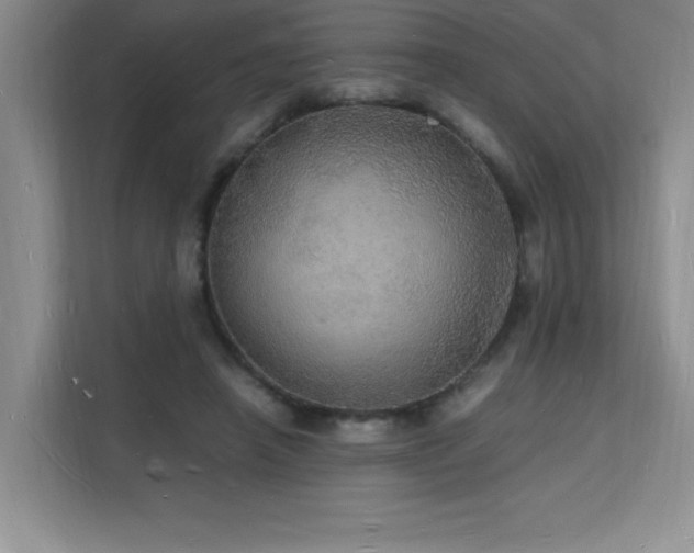 X0000112150450200908071119