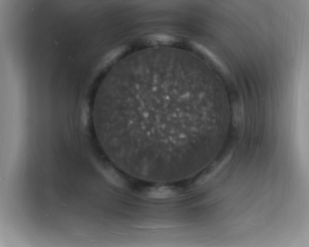 X0000112150451200908071119