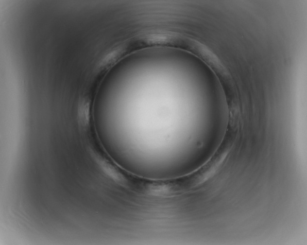 X0000112150454200908071119