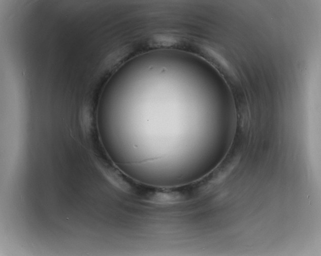 X0000112150455200908071119