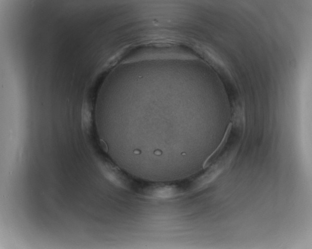 X0000112150456200908071119