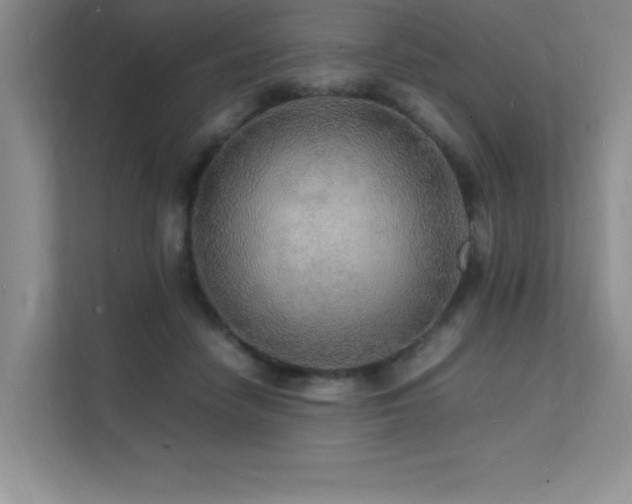 X0000112150458200908071119