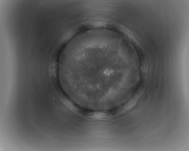 X0000112150462200908071119