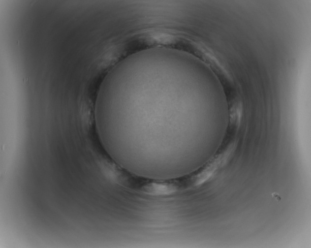 X0000112150464200908071119