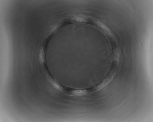 X0000112150465200908071119