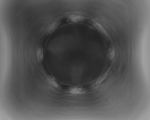 X0000112150471200908071119