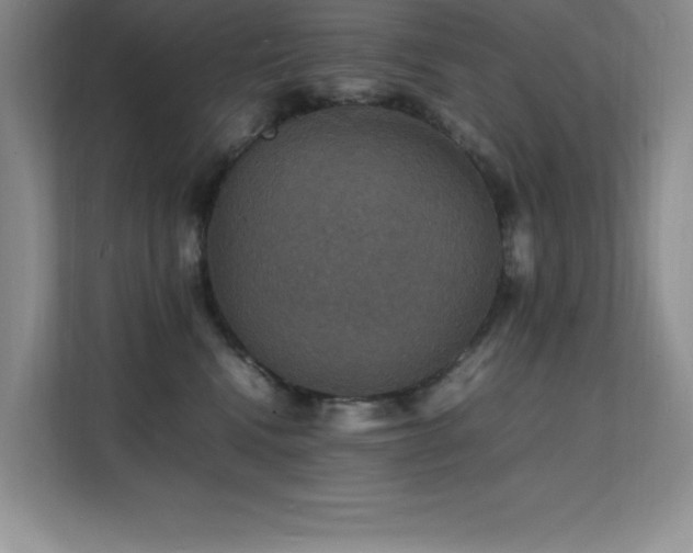 X0000112150472200908071119