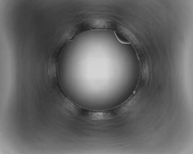X0000112150473200908071119