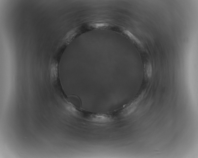 X0000112150475200908071119