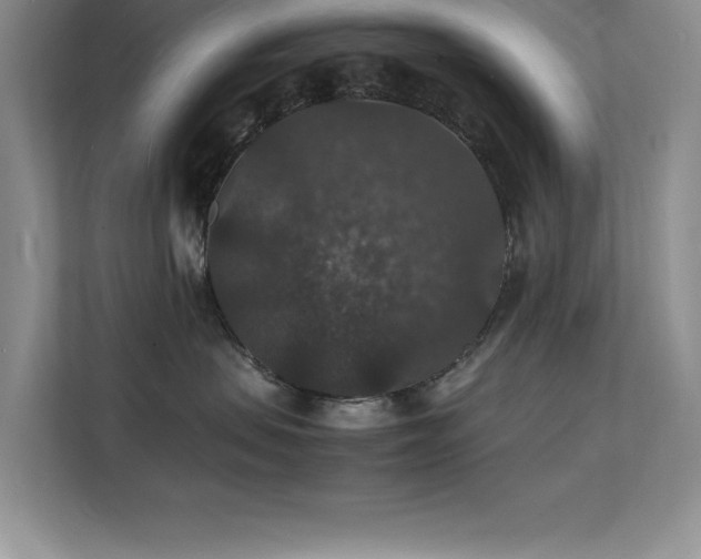 X0000112150479200908071119