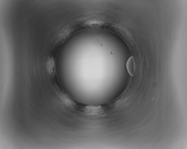 X0000112150480200908071119