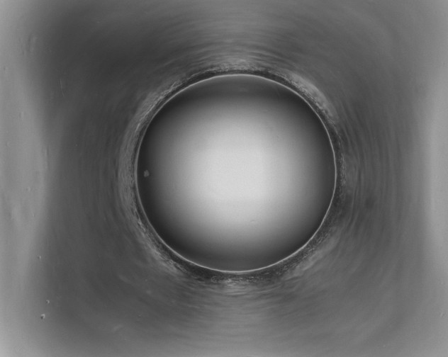 X0000112150481200908071119