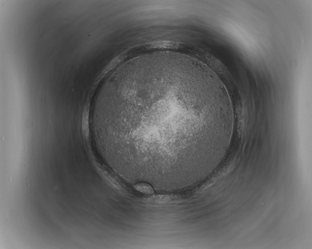 X0000112150482200908071119