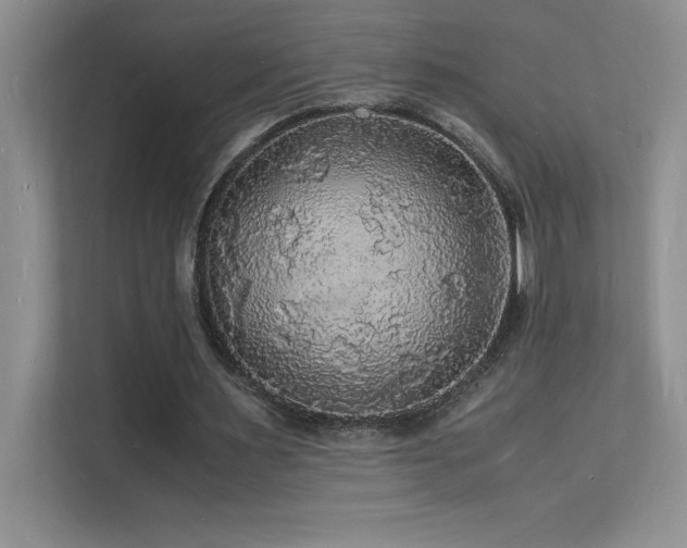 X0000112150483200908071119
