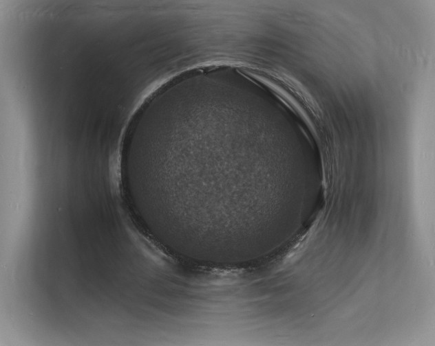 X0000112150484200908071119
