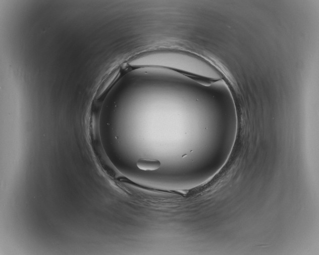 X0000112150485200908071119