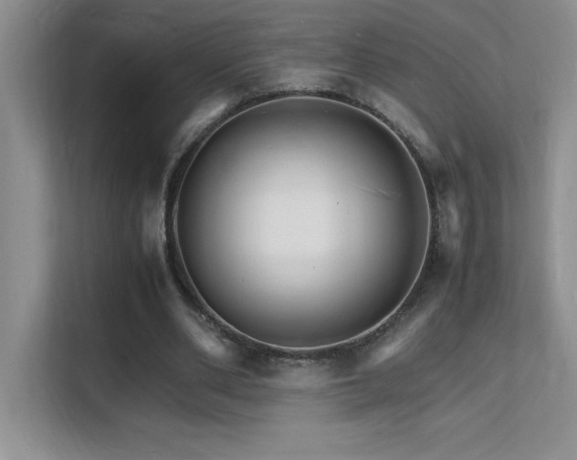 X0000112150486200908071119