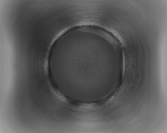 X0000112150488200908071119