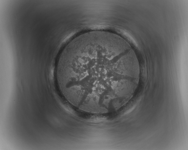X0000112150491200908071119