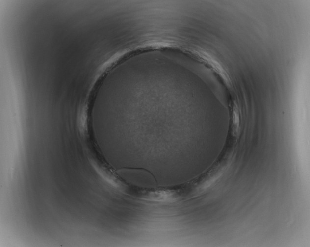 X0000112150492200908071119