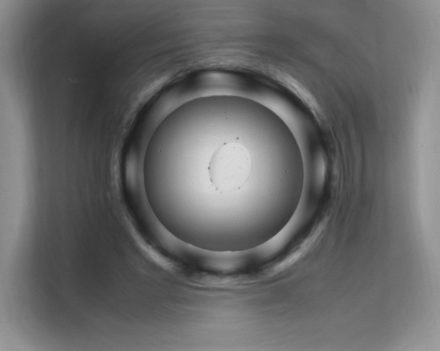 X0000112150493200908071119