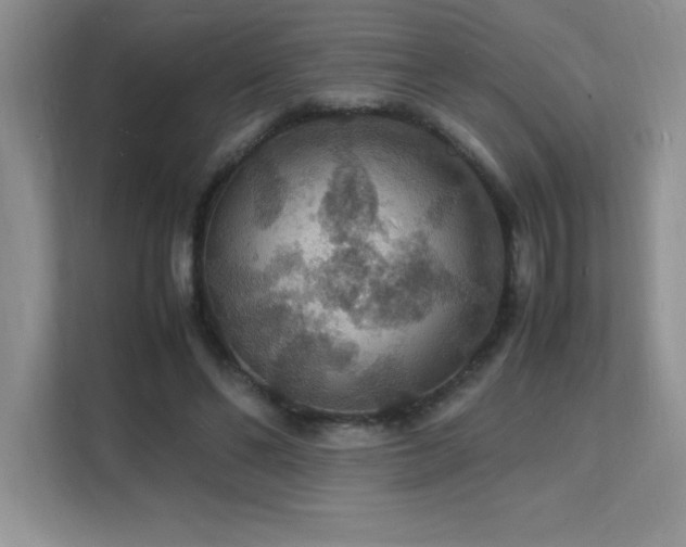 X0000112150494200908071119