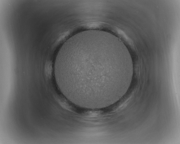 X0000112150495200908071119
