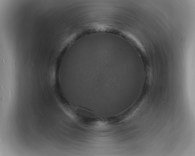 X0000112150496200908071119