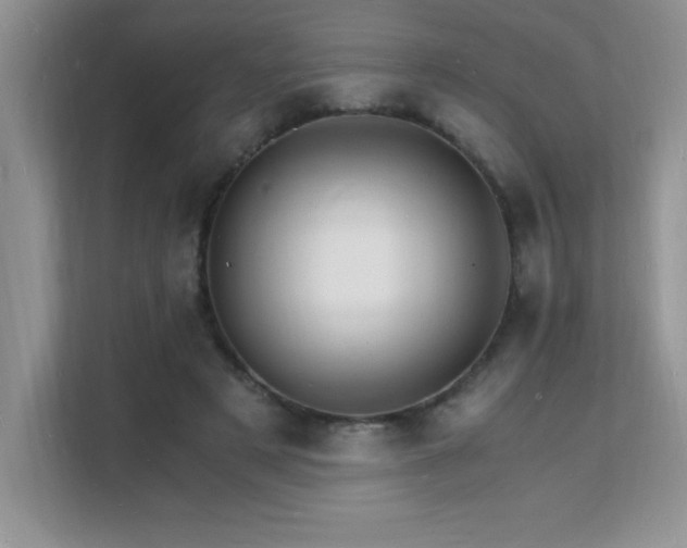 X0000112150497200908071119