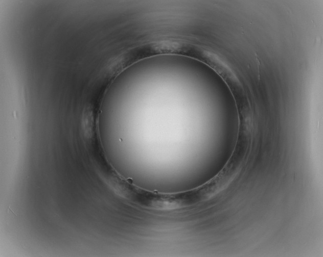 X0000112150498200908071119