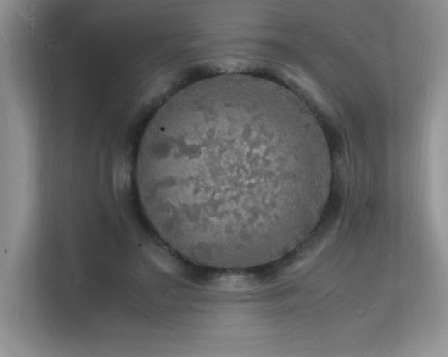 X0000112150499200908071119